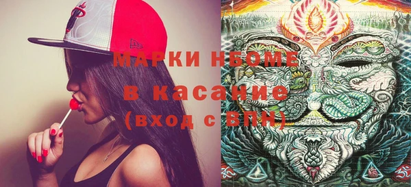 стафф Кропоткин