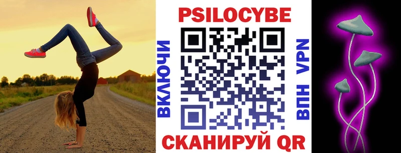 Купить закладки Зверево Псилоцибиновые грибы GOLDEN TEACHER