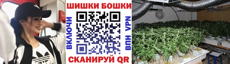 Купить закладки  Зверево  Марихуана ГИДРОПОН 
